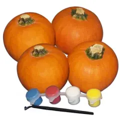 Pumpkin Paint Activity Kit - 4ct