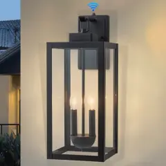 C Cattleya 2-Light Matte Black Dusk to Dawn Outdoor Wall Lantern Sconce with Clear Tempered Glass