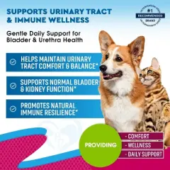 Beloved Pets Urinary Tract Support Supplement with Cranberry for Cats and Dogs, Kidney Bladder Health Natural Renal Care Liquid Drops 2 Oz - 1 Pack
