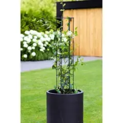 Trellis Vario 1/2 Circle Kit &ndash; Sturdy & Versatile Climbing Plant Support