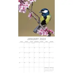 The Gifted Stationery 2024 Square Wall Calendar, Birds, 16-Month Animals Theme with 180 Reminder Stickers (12 x 12 In)