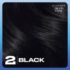 Clairol Nice'n Easy Permanent Hair Color Cream Kit - Black