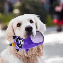 QuestaPack 6 Pack Surprise Dog Toy Set Dog Squeaky Toys Dog Chew Toys