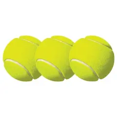Champion Sports Tennis Balls