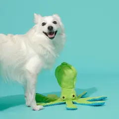 BARK Billy The Squid Dog Toy - Green