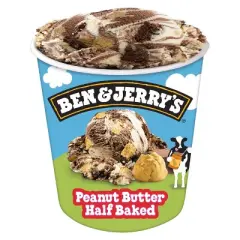 Ben & Jerry's Peanut Butter Half Baked Chocolate & Peanut Butter Ice Cream - 1pt
