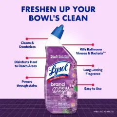 Lysol Lavender Liquid Toilet Bowl Cleaner - 48 fl oz/2ct