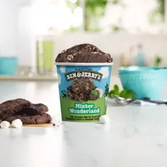 Ben & Jerry's Minter Wonderland Dark Chocolate Mint Ice Cream - 16oz