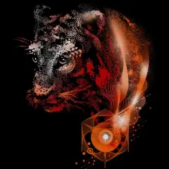 Women's Design By Humans Tiger Wild Dimension By alnavasord Racerback Tank Top