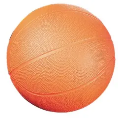 Champion Sports Coated Hi-Density Foam Basketballs