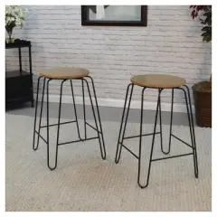 Set of 2 24" Winston Counter Height Barstools - Carolina Chair & Table