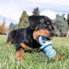 KONG Puppy Binkie Dog Toy - S