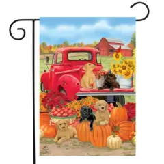 Briarwood Lane Fall Garden Flag 12x18 For Outdoor Fall Puppies For Fall Garden Flag Flags For Outside