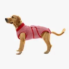Unique Bargains Pet Recovery Suit Medium Red White 1 Pc
