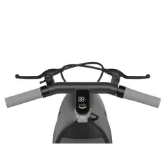 OKAI Ceetle Pro Foldable Electric Scooter - Black