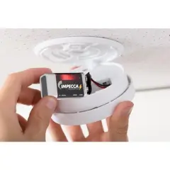 Impecca 9V Alkaline Batteries 48-Pack with Long Lasting Shelf Life (48-Cells)