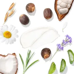 Tree to Tub Moisturizing Shea & Cocoa Butter Lotion for Dry Skin, 2 units