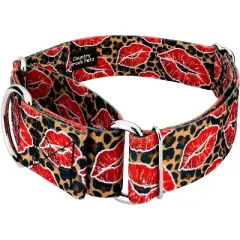 Country Brook Petz HossFit Jr Wide Martingale Dog Collar - Affection Collection