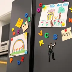 NMR Distribution Star Wars Han Solo Funky Chunky Magnet