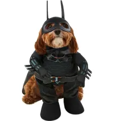 Rubies The Batman Pet Costume