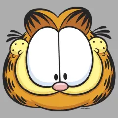 Boy's Garfield Character Big Face T-Shirt