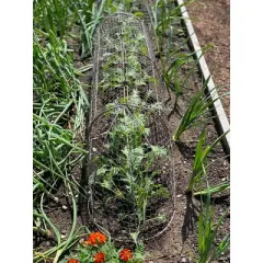 Gardener&rsquo;s Supply Company Chicken Wire Cloche Garden Plot Plants Cover Protector | Sturdy Arch Metal Tunnel Cage Flowerbeds and Seedlings Garden