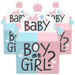 Big Dot of Happiness Baby Gender Reveal - Treat Box Party Favors - Team Boy or Girl Party Goodie Gable Boxes - Set of 12