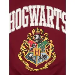 Harry Potter Hogwarts Men's Puff Print Maroon Crew Neck Sweatshirt