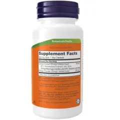 Ginkgo Biloba 60mg 24 % Extract by Now Foods  -  60 Capsule