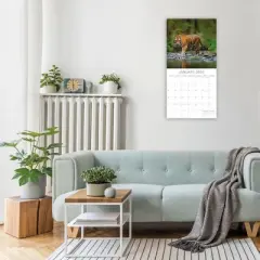 2026 Square Wall Calendar, Tigers, 16-Month Animals Theme with 180 Reminder Stickers (12x12 In)