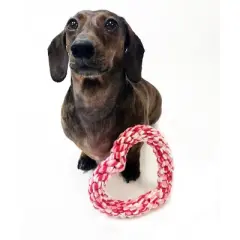 Midlee Valentine's Heart Rope Dog Toy (6" x 6")