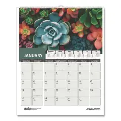 House of Doolittle Recycled Succulent and Cacti Wall Calendar 12-Month January 2026 to December 2026 Multicolor Sheets 14 x 11