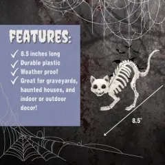 Kitten Skeleton Halloween Decoration (3 Pack)-7.5" Long-Weather Resistant- Upgrade Your Fall House Party Props, Trick-or-Treat Decor, School Classroom