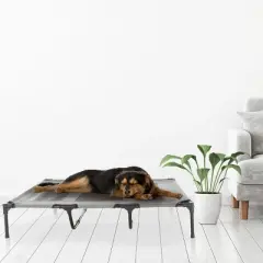 Pet Adobe Portable Raised Pet Bed with Nonslip Feet - Gray