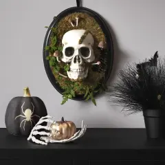 14" Hanging Framed Skull Halloween Decorative Prop - Hyde and EEK! Boutique&trade;