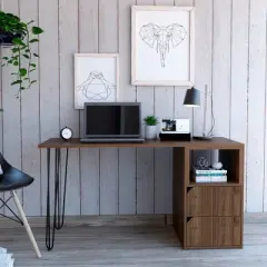 Aster 2 Drawer Desk Brown - RST Brands