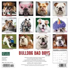 Willow Creek Press 2024 Wall Calendar 12"x12" Bulldog Bad Boys