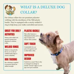 Country Brook Petz HossFit Jr Wide Deluxe Dog Collar - Americana Collection