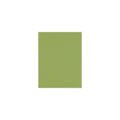 Lux Paper 8.5 x 11 inch 80 lbs. Avocado 500/Pack 81211-P-102-500