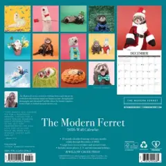 Willow Creek Press 2026 The Modern Ferret Wall Calendar