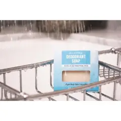 Deodorant Bar Soap 2-Pack | Naturally Refreshing Herbal Cleanser for Long-Lasting Freshness | Plant-Based Body Care | Plantlife