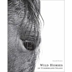 Wild Horses of Cumberland Island - (Anouk Masson Krantz) 2nd Edition by  Anouk Masson Krantz (Hardcover)