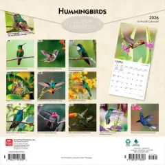 BrownTrout Hummingbirds 2026 12"x24" Hanging Square Wall Calendar Plastic-Free