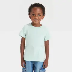 Toddler Boys' 10pk Short Sleeve Solid T-Shirt - Cat & Jack&trade;