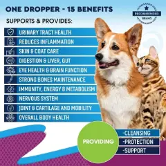 Beloved Pets 15 in 1 Multivitamin for Cats and Dogs with Glucosamine and Cranberry, Health Support for Urinary Tract, Hip Joint 2 Oz - 1 Pack