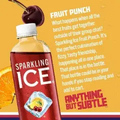 Sparkling Ice Fruit Punch - 17 fl oz Bottle
