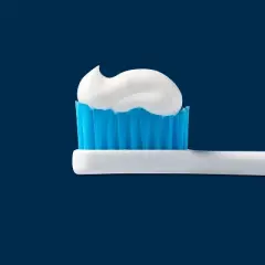 Adult Soft Replacement Heads - 2pk - up&up&trade;