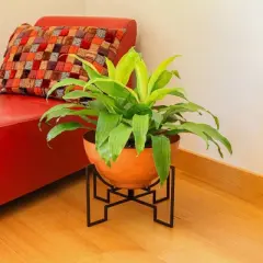 ACHLA Designs 16"Wide  Galvanized Steel Planter Bowl with Black Wrought Iron Plant Stand Burnt Sienna