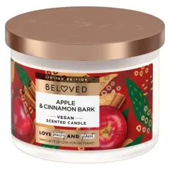 Beloved Apple and Cinnamon 2-Wick Candle - 11.5oz