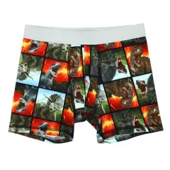 Jurassic World Dinosaurs Multipack Boys Underwear, Boxer Briefs